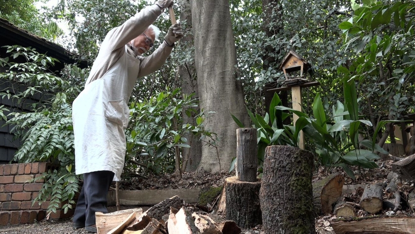 Hayao Miyazaki and the Heron