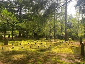 Zwakke geest, een sterk geloof, Een