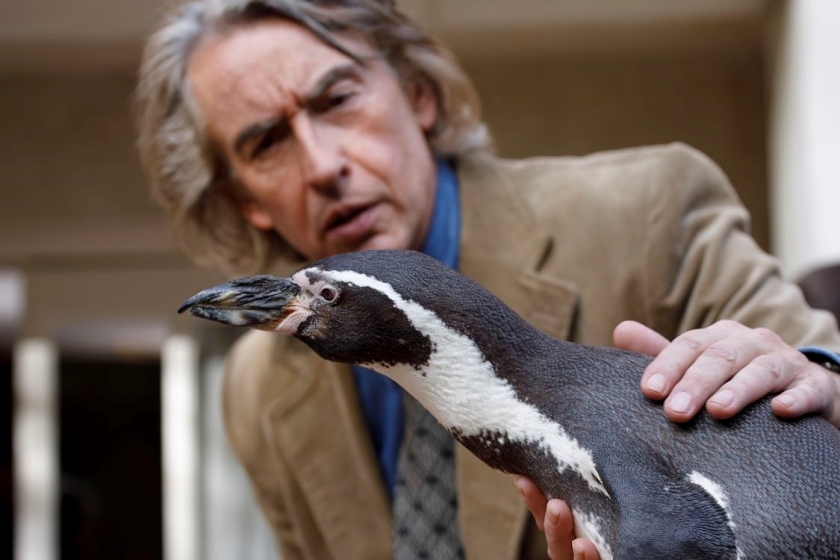 Penguin Lessons, The