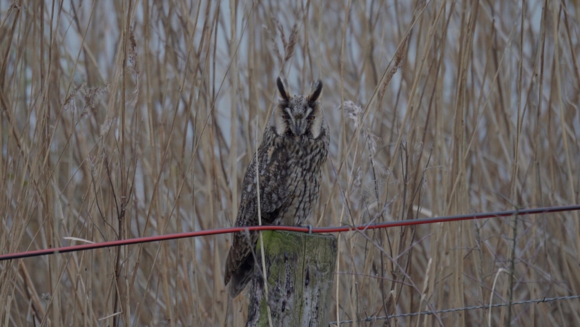 Verbonden met Zeeland