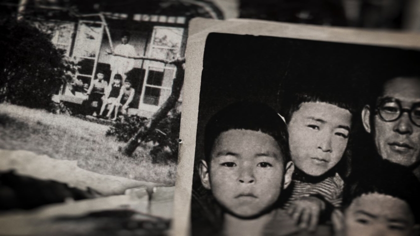 Miyazaki: Spirit of Nature