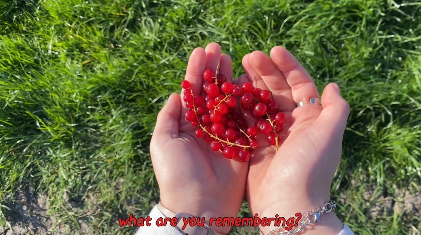Conversation with a Snared Fox at the End of the Field, A