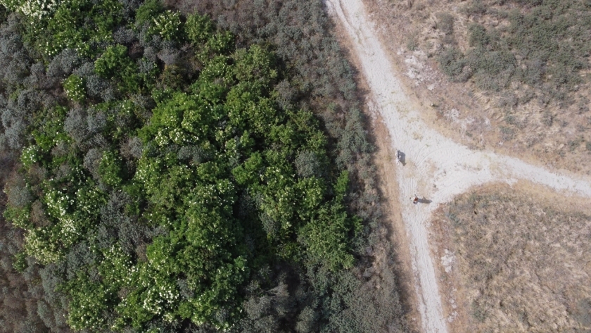 Zilverjager saga, De