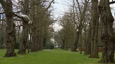 Zwakke geest, een sterk geloof, Een