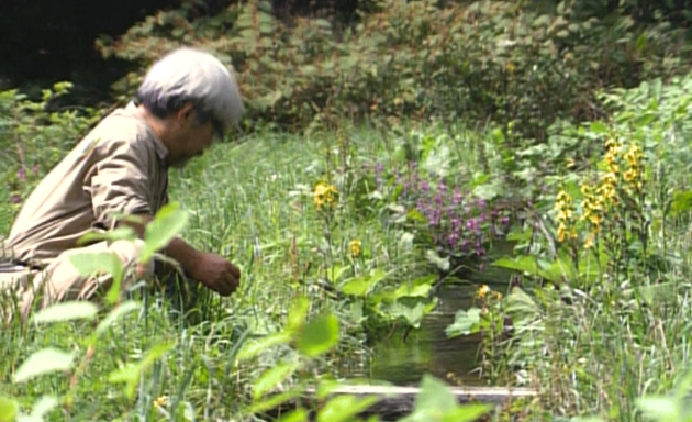 Miyazaki: Spirit of Nature